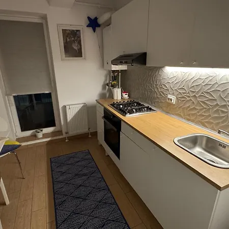 Romanescu Park Apartment